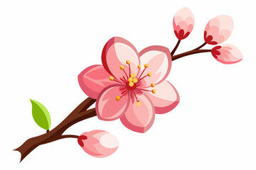 plum-blossom-vector illustration-white-background