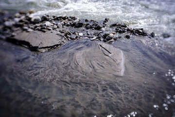River rocks in the sand