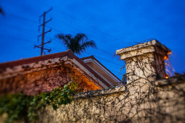 Vines covering walls and fences