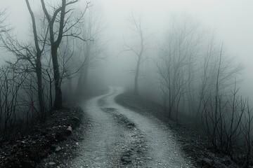 A misty trail weaving among leafless branches represents the uncertain path through personal struggles.