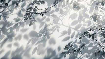 Transparent Shadow Overlay with Branches Silhouette