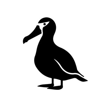 recommend clip art: Albatross Bird