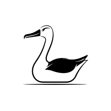 recommend clip art: Albatross Bird