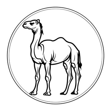 recommend clip art: Asian Camel