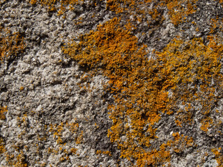 Old, rough rock surface background. Natural texture with orange lichen.