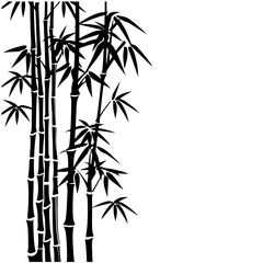 Tall thin bamboo plants