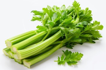 Fresh celery on a white background