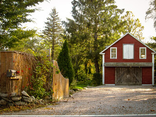 Farmhouse in the forest