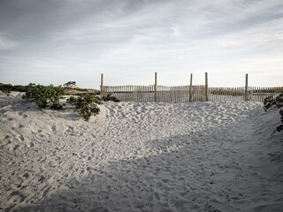 Footprints in the white sand