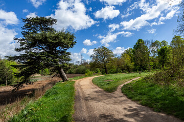 The ‘Ornamental Water’ runs for about 1km from roughly north-west to south-east. It consists of an inter-connecting system of channels in the eastern part of Wanstead Park.
