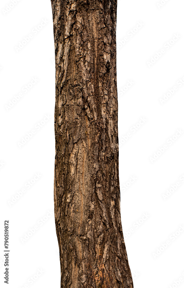 Aufkleber trunk of a tree isolated on transparent background.