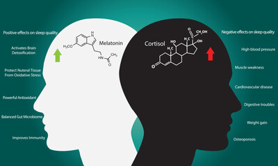 Impact of melatonin and cortisol on circadian rhythm, sleep cycle, body activities, and brain.	