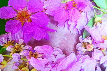 flowers background