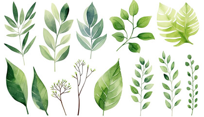 watercolor green leaves elements collection for Wedding Invitation botanical isolated on white background, Green leaves arrangements for greeting cards PNG.