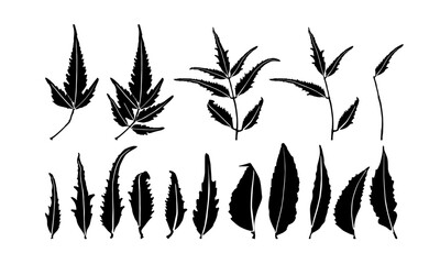 neem imprints leaves design. neem leafs vector. neem silhouette vector