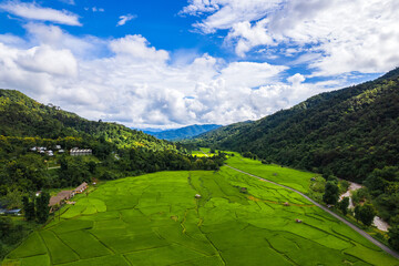 Aerial view of beautiful Terraced rice field in rainy season at Thailand.