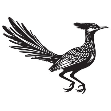 recommend clip art: roadrunner silhouette vector illustration white background