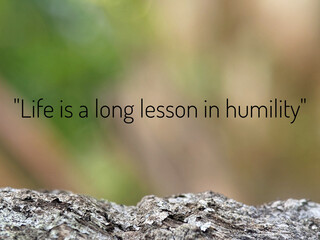 Motivation quotes with text Life is a long lesson in humility