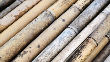 Old dirty bamboo texture. Dried bamboo wall or fence background