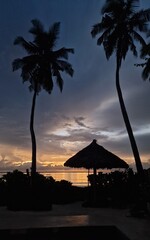 Sonnenaufgang in Afrika mit Palmen und Morgenrot