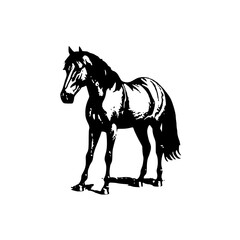 horse silhouette isolated on white background | Vector illustration of a horse black svg