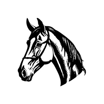 recommend clip art: Silhouette of a horse head black and white | Vector illustration of a horse svg