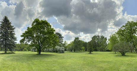 picturesque scenery of green park in summer cloudy day. panoramic view.