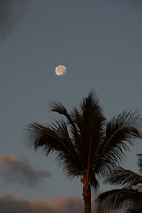 The moon shining above a beach in Punta Cana on a hot night in the tropics