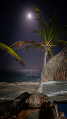 The moon shining above a beach in Punta Cana on a hot night in the tropics