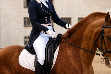 Elegant dressage rider and horse in mid-ride