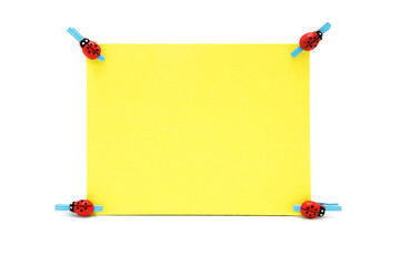 Greeting blank card with clothespins with decorative ladybugs isolated on a white background. Copy space. Free space for text. Spring background.