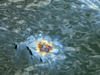 Ölverschmutzung auf Wasseroberfläche