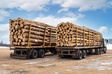 Truck for transporting wooden logs. Logging timber wood industry. Forest industry.