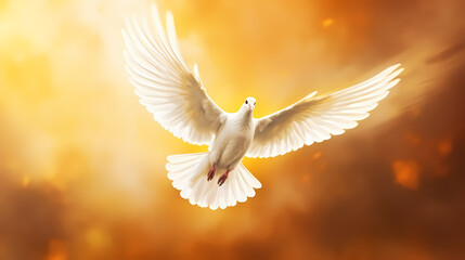 Beautiful white dove spreads its wings and flies in the sun