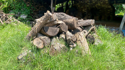 Pile of woods in the forest.