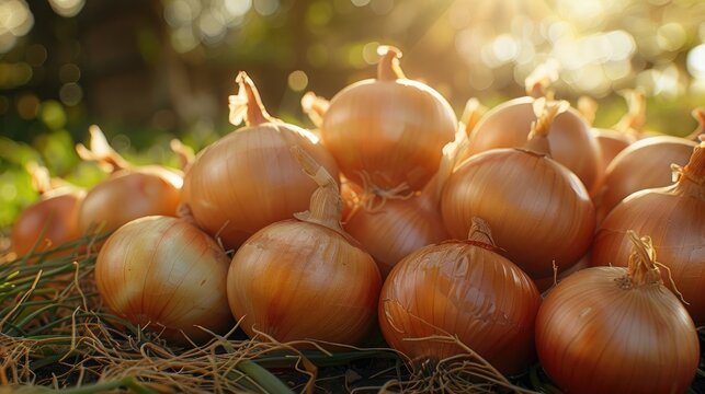 Onion Group as a Background