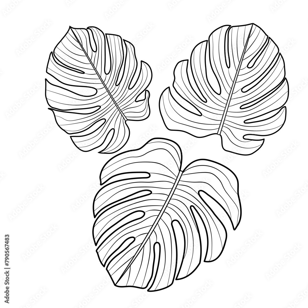 Poster Vector icons. Openwork monstera leaves.