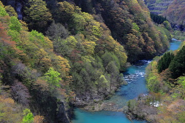 Fototapeta na wymiar 秋田県白神山地を、流れる清流、粕毛川