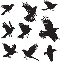 silhouettes of birds