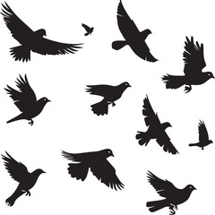 silhouettes of birds