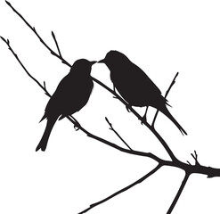 birds on a branch