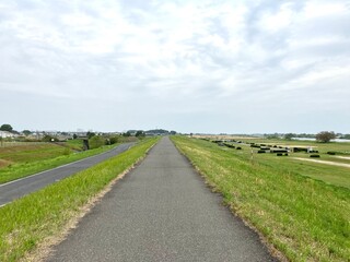 果て無く続く道