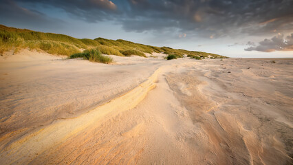 Fototapeta na wymiar The sandy beach on Denmarks long North sea coastline