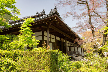 Main building of Jojakko-ji temple in Kyoto, Japan 