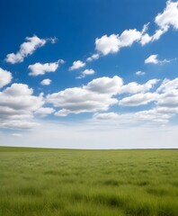 Obraz premium A wide open grassy field with a blue sky and wispy clouds above