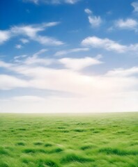 Fototapeta na wymiar A wide open grassy field with a blue sky and wispy clouds above