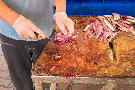 poł&oacute;w, patroszenie ryb z kutra nad morzem