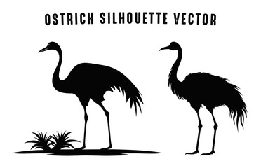 Ostrich Bird Silhouettes Clipart, Ostrich Silhouette black Vector on a white background
