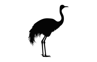 Ostrich black Silhouette Vector on a white background