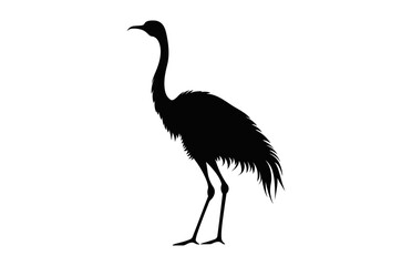 Ostrich black Silhouette Vector on a white background
